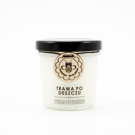Świeca z wosku sojowego - TRAWA PO DESZCZU - Miodowa Mydlarnia
