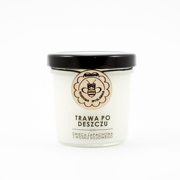 Świeca z wosku sojowego - TRAWA PO DESZCZU - Miodowa Mydlarnia
